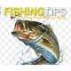 FISHING TIPS BLOG