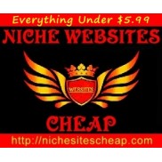 NICHE WEBSITES CHEAP